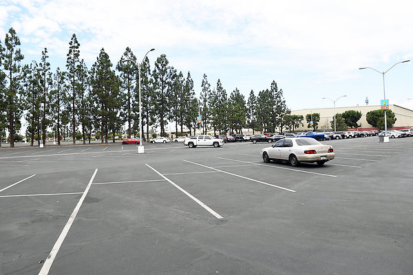 KnottsBerryFarmjpg0313