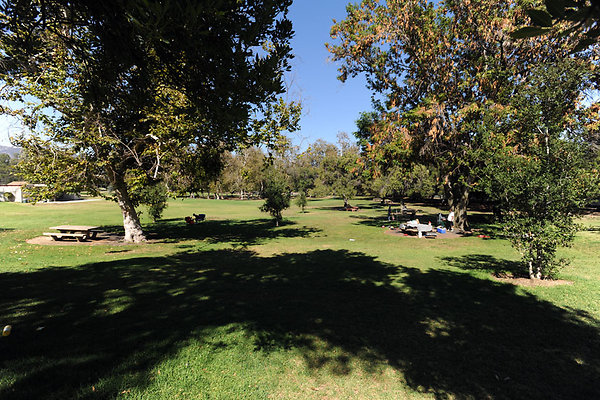 GriffithParkCarousel046