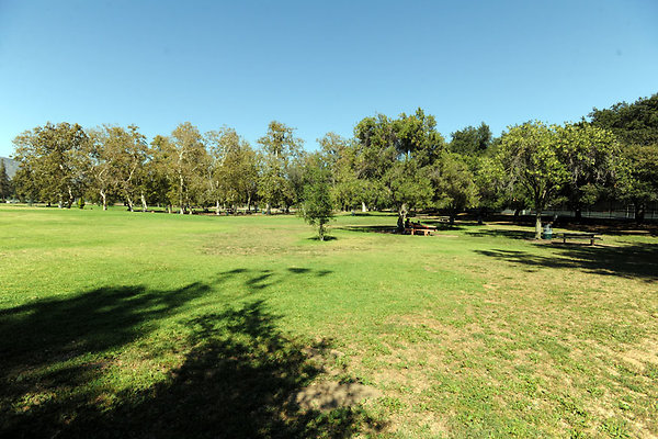 GriffithParkCarousel049