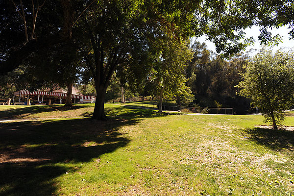 GriffithParkCarousel051