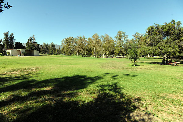 GriffithParkCarousel048
