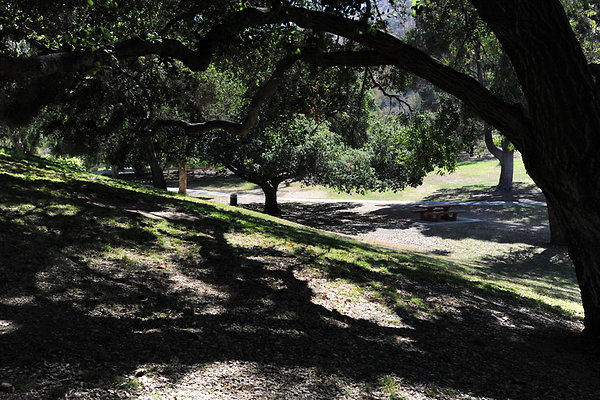 GriffithParkCarousel006
