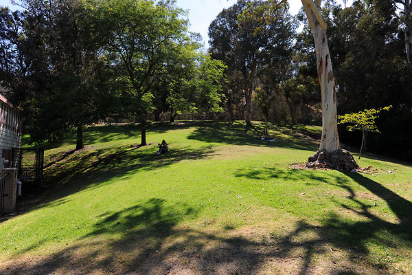 GriffithParkCarousel041