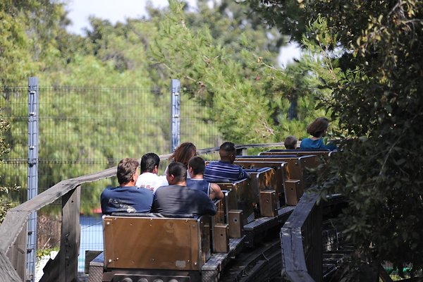 KnotsBerryGhostRiderCoaster77