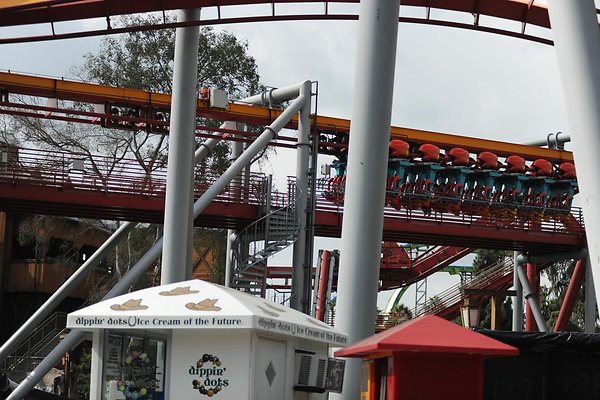 KnotsBerrySilverBullerCoaster12