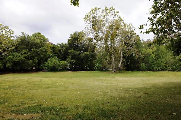 Field B