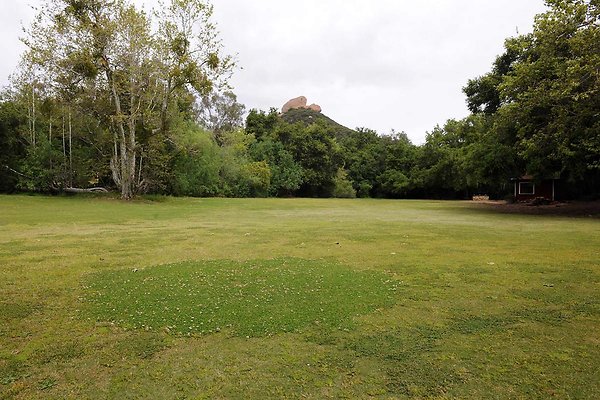 Field B