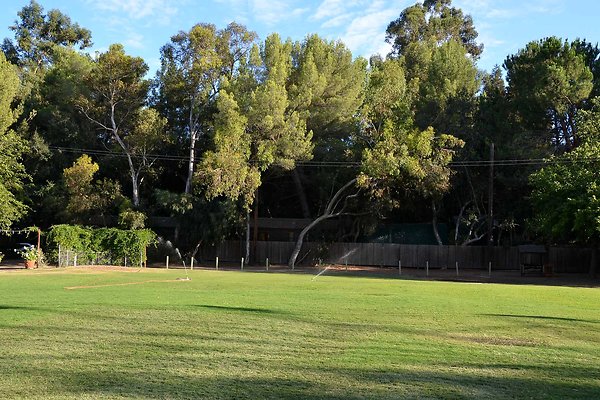 Field A