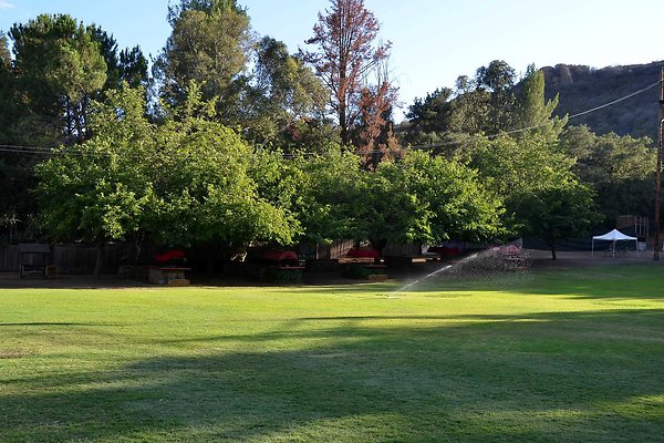 Field A