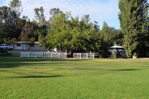 Field A