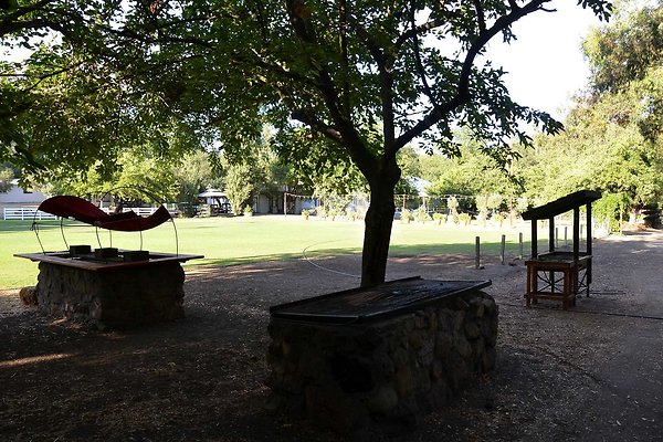Field A