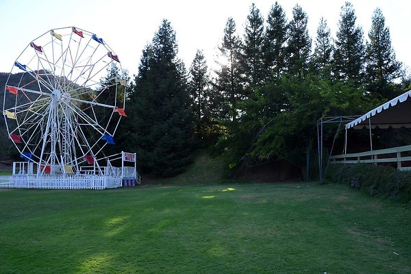 Field A