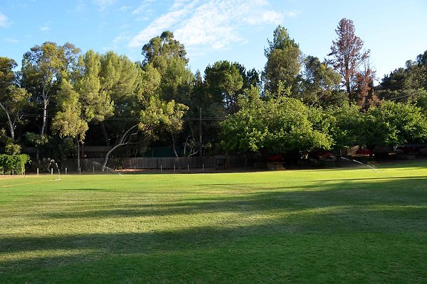 Field A